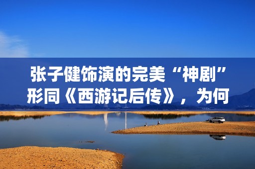 张子健饰演的完美“神剧”形同《西游记后传》，为何却被点名批评(张子健饰演的完美人生)