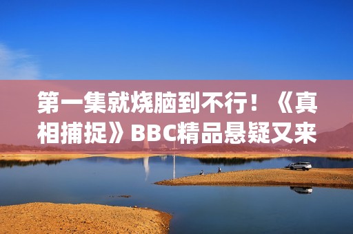 第一集就烧脑到不行！《真相捕捉》BBC精品悬疑又来了！(电视剧烧脑第一集解析)