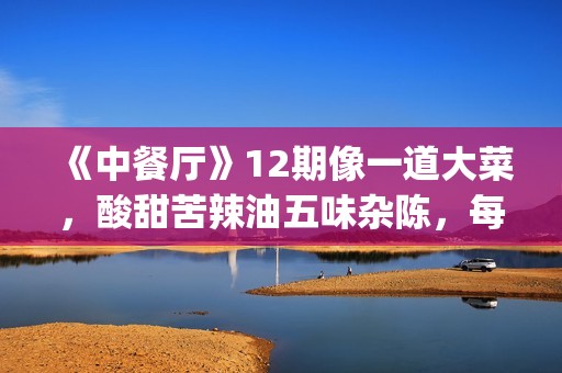 《中餐厅》12期像一道大菜，酸甜苦辣油五味杂陈，每一味都是人情(中餐厅第12期)