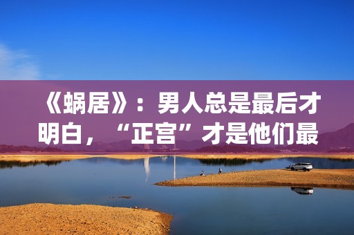 《蜗居》：男人总是最后才明白，“正宫”才是他们最坚定的同盟(蜗居男女)