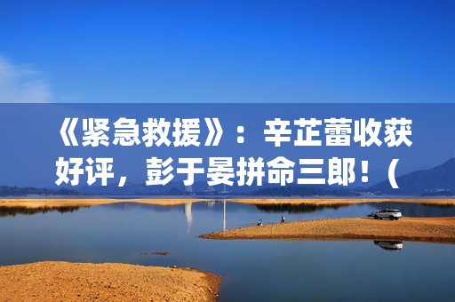 《紧急救援》：辛芷蕾收获好评，彭于晏拼命三郎！(紧急救援协助异常 宝马)