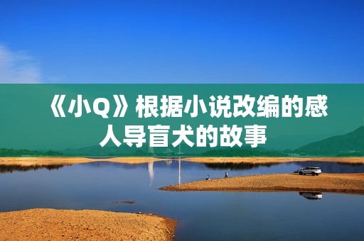 《小Q》根据小说改编的感人导盲犬的故事