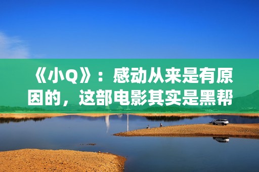 《小Q》：感动从来是有原因的，这部电影其实是黑帮片(电影小q里面的歌曲)