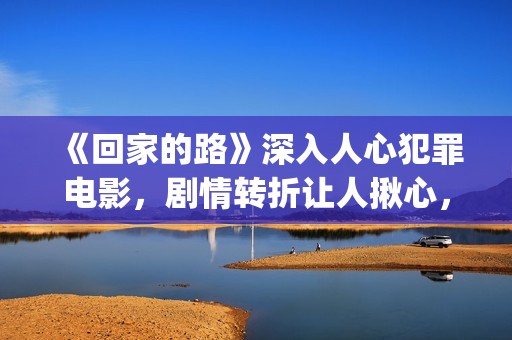 《回家的路》深入人心犯罪电影，剧情转折让人揪心，令人十分感动(回家的路解析)