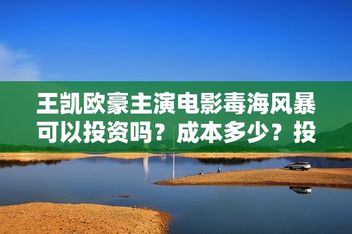 王凯欧豪主演电影毒海风暴可以投资吗？成本多少？投资靠谱吗？