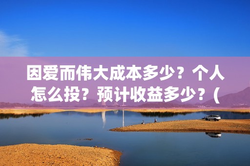 因爱而伟大成本多少？个人怎么投？预计收益多少？(因爱而伟大好不好看)