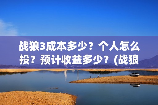 战狼3成本多少？个人怎么投？预计收益多少？(战狼3投资多少钱拍的)