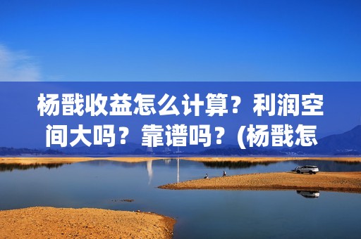 杨戬收益怎么计算？利润空间大吗？靠谱吗？(杨戬怎么返利)