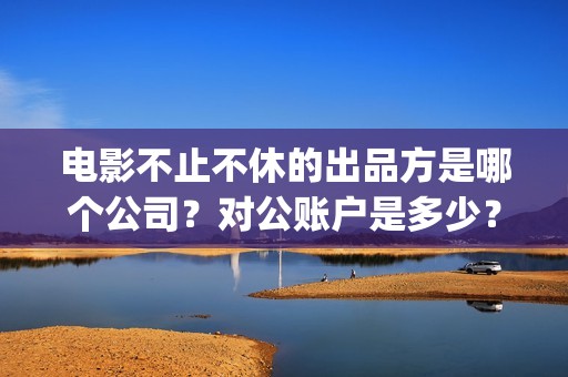 电影不止不休的出品方是哪个公司？对公账户是多少？(不止不休 mp4)