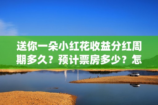 送你一朵小红花收益分红周期多久？预计票房多少？怎么投资吗？(送你一朵小红花电影剧情介绍)