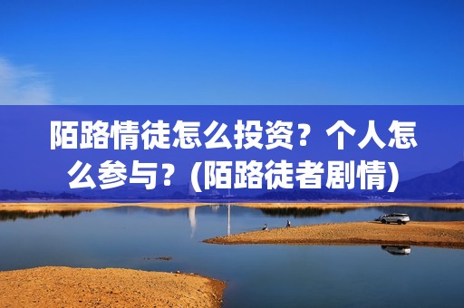 陌路情徒怎么投资？个人怎么参与？(陌路徒者剧情)
