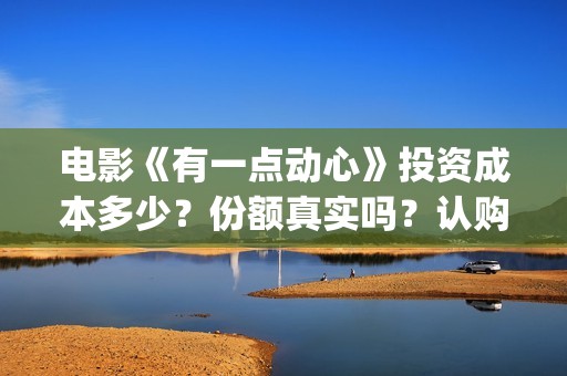 电影《有一点动心》投资成本多少？份额真实吗？认购标准？(电影有一点动心百度百科)