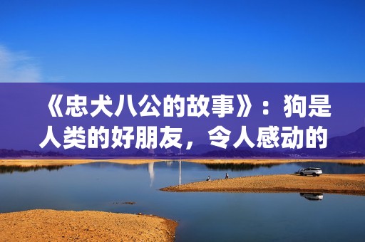 《忠犬八公的故事》：狗是人类的好朋友，令人感动的真实故事(忠犬八公的故事简介)