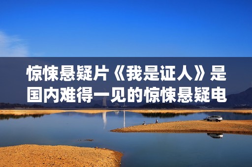 惊悚悬疑片《我是证人》是国内难得一见的惊悚悬疑电影(我恐怖片)