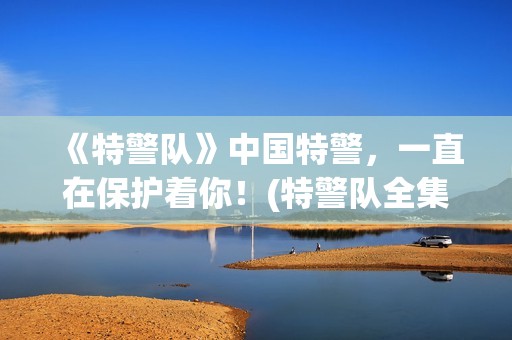 《特警队》中国特警，一直在保护着你！(特警队全集)