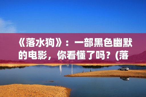 《落水狗》：一部黑色幽默的电影，你看懂了吗？(落水狗下一句是什么)