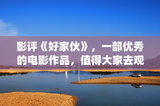 影评《好家伙》，一部优秀的电影作品，值得大家去观看！(影评《好家伙》在线观看)