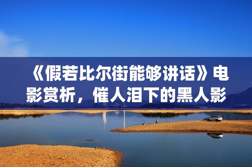 《假若比尔街能够讲话》电影赏析，催人泪下的黑人影片(电影假若比尔街能够讲话)