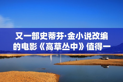 又一部史蒂芬·金小说改编的电影《高草丛中》值得一看(史蒂芬ricci)