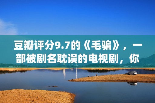 豆瓣评分9.7的《毛骗》，一部被剧名耽误的电视剧，你看过没？(豆瓣评分9.0以上的)