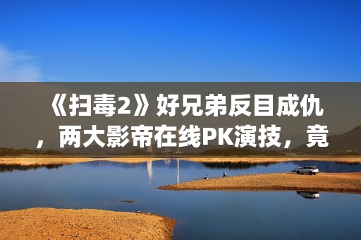 《扫毒2》好兄弟反目成仇，两大影帝在线PK演技，竟遭受口碑下降(扫毒二结局什么意思)