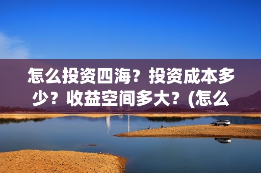 怎么投资四海？投资成本多少？收益空间多大？(怎么投资四海集团公司)