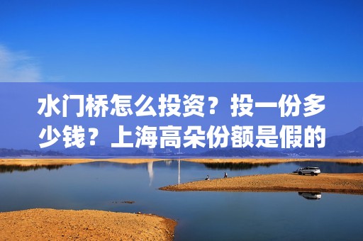 水门桥怎么投资？投一份多少钱？上海高朵份额是假的？(水门桥在哪)