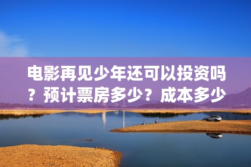 电影再见少年还可以投资吗？预计票房多少？成本多少(电影再见少年还能播放吗)
