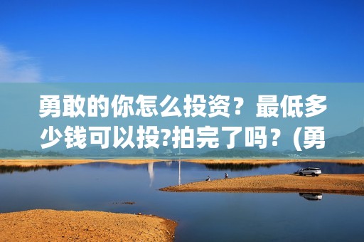 勇敢的你怎么投资？最低多少钱可以投?拍完了吗？(勇敢的你投资多少钱)