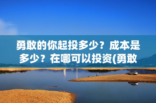 勇敢的你起投多少？成本是多少？在哪可以投资(勇敢的你值不值得投资)