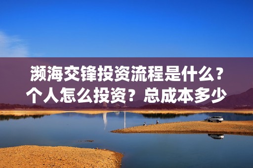 濒海交锋投资流程是什么？个人怎么投资？总成本多少？(濒海交锋能投吗)