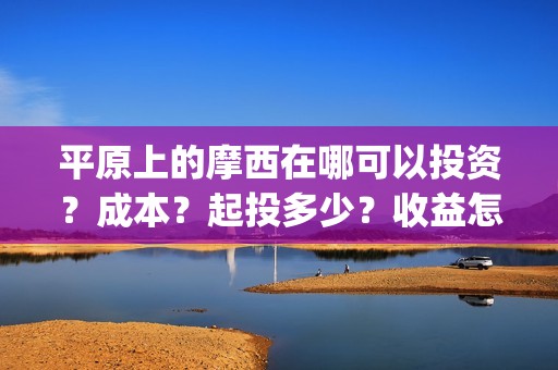 平原上的摩西在哪可以投资？成本？起投多少？收益怎么算 (平原上的摩西在哪拍的)