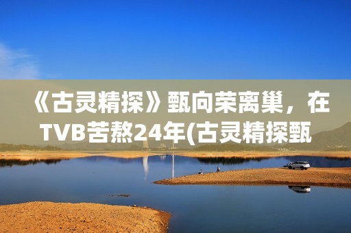 《古灵精探》甄向荣离巢，在TVB苦熬24年(古灵精探甄向荣小说)