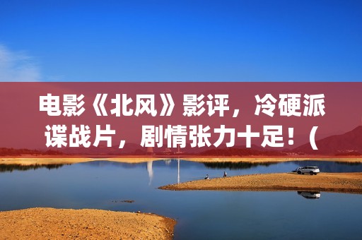 电影《北风》影评，冷硬派谍战片，剧情张力十足！(北风 电影)