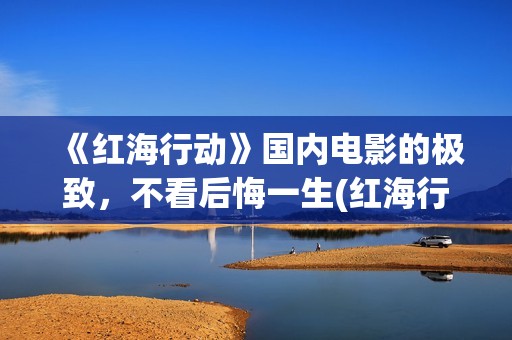 《红海行动》国内电影的极致，不看后悔一生(红海行动svd)
