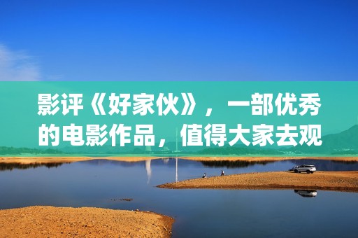 影评《好家伙》，一部优秀的电影作品，值得大家去观看！(好家伙影评全面解析)