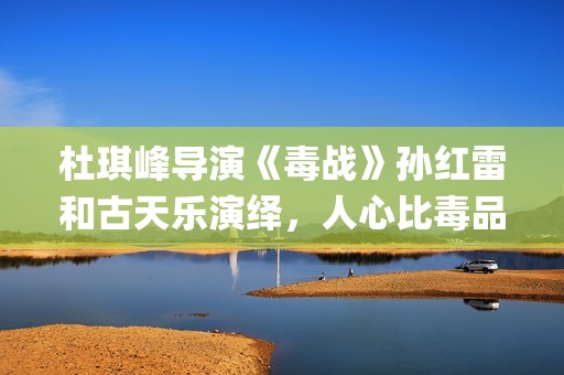 杜琪峰导演《毒战》孙红雷和古天乐演绎，人心比毒品更可怕(杜琪峰dvd)