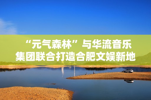  “元气森林”与华流音乐集团联合打造合肥文娱新地标 “新粮仓”探索首店消费新场景