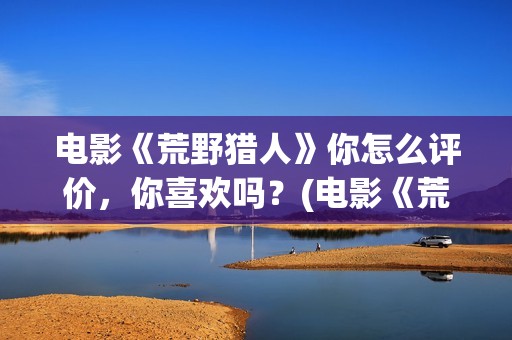 电影《荒野猎人》你怎么评价，你喜欢吗？(电影《荒野猎人》在线观看)
