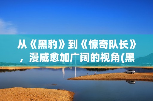 从《黑豹》到《惊奇队长》，漫威愈加广阔的视角(黑豹 体会)