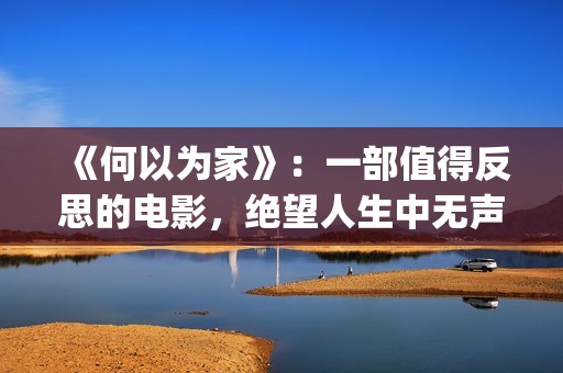 《何以为家》：一部值得反思的电影，绝望人生中无声的呐喊(何以为家(BDS/M)(栗子宽))