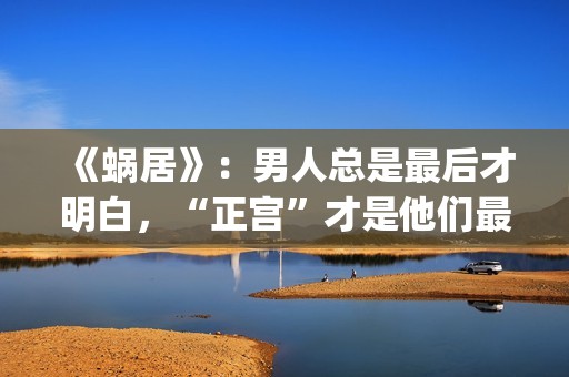 《蜗居》：男人总是最后才明白，“正宫”才是他们最坚定的同盟(蜗居男主角叫啥)