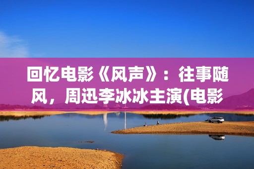 回忆电影《风声》：往事随风，周迅李冰冰主演(电影《风声》内容)