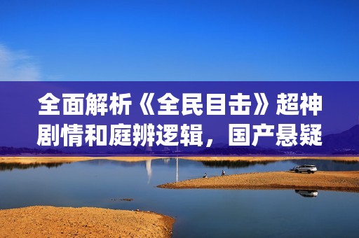 全面解析《全民目击》超神剧情和庭辨逻辑，国产悬疑电影巅峰之作(ⅴip解析全民)