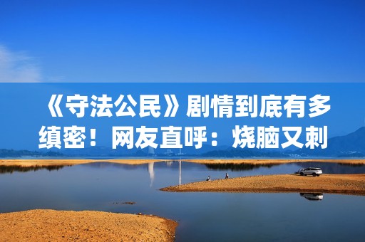 《守法公民》剧情到底有多缜密！网友直呼：烧脑又刺激！(守法公民全集)