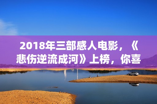2018年三部感人电影，《悲伤逆流成河》上榜，你喜欢哪一部？(2018年最感人的20部电影推荐)