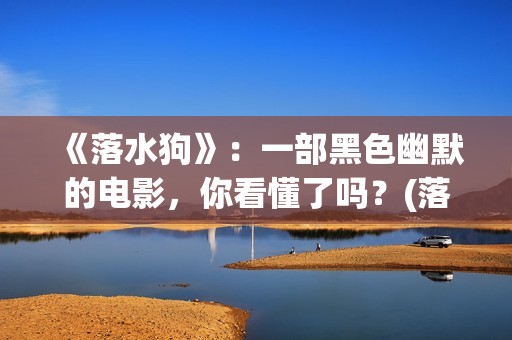《落水狗》：一部黑色幽默的电影，你看懂了吗？(落水狗打三数字)