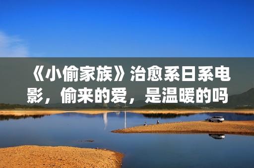 《小偷家族》治愈系日系电影，偷来的爱，是温暖的吗？(小偷家族121min)