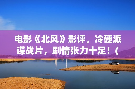 电影《北风》影评，冷硬派谍战片，剧情张力十足！(北风电影下载)