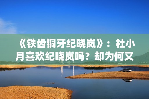 《铁齿铜牙纪晓岚》：杜小月喜欢纪晓岚吗？却为何又两次嫁人？(铁齿铜牙纪晓岚2免费完整版)